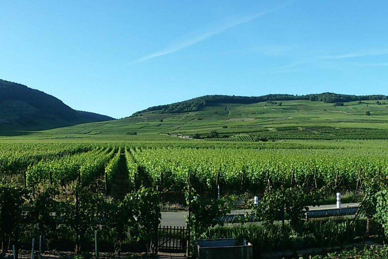 Naova Cosy Studio Kaysersberg-Vignoble Buitenkant foto